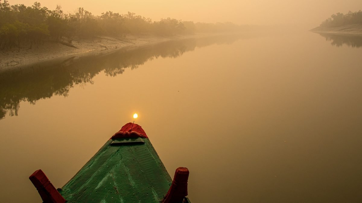 Mangrove-Wilderness-Safaris-Card